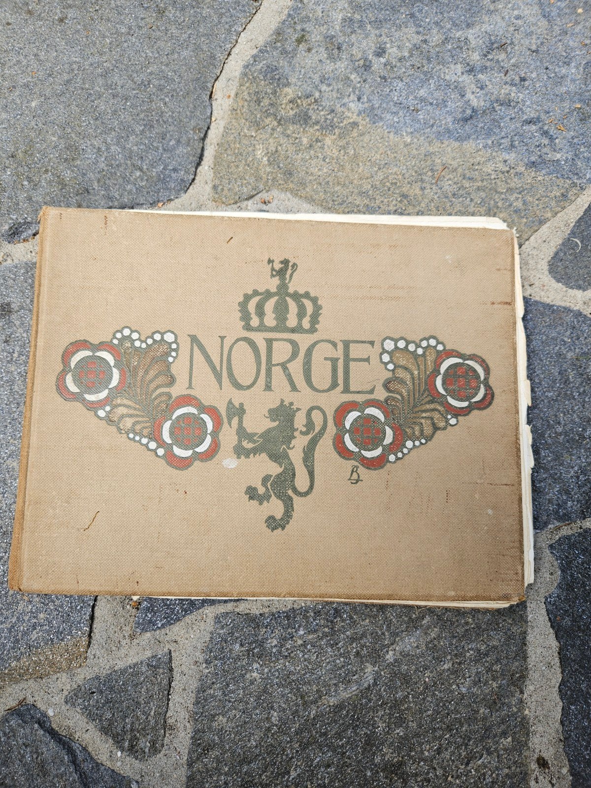Norge: Antiek fotoboek met landschappen en portretten, Boeken, Ophalen of Verzenden, Gelezen, Onbekend, Europa overig