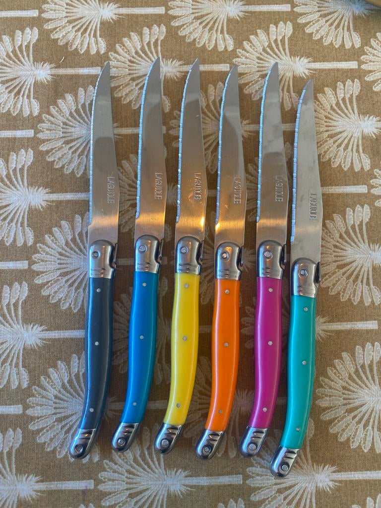 Laguiole Steakmessen Set Gekleurd - Hema, Ophalen, Zo goed als nieuw, Kunststof, Bestekset