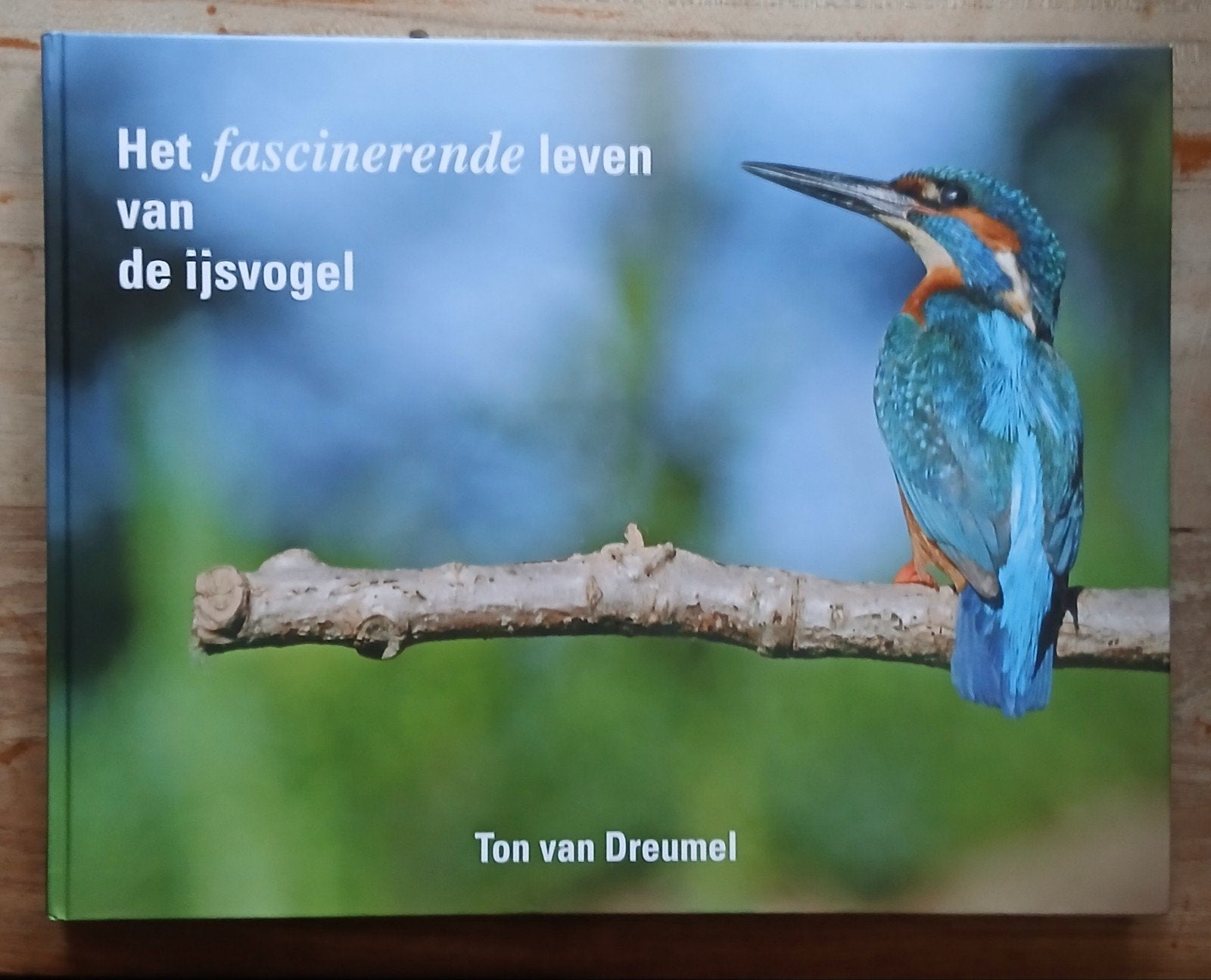 Ton van Dreumel, Het fascinerende leven van de ijsvogel, Boeken, Ophalen of Verzenden, Gelezen