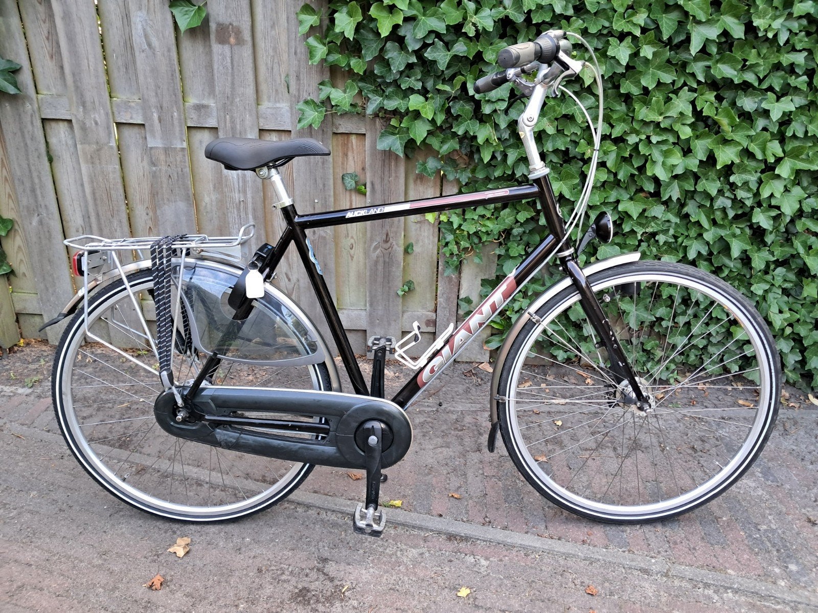 Mooie Giant Auckland (60cm), Ophalen, Gebruikt, Versnellingen, Giant