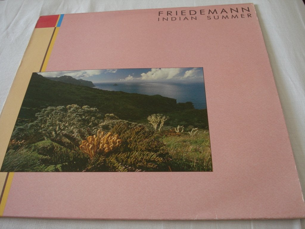 FRIEDEMANN - INDIAN SUMMER, Gebruikt, Originele persing, Ophalen of Verzenden, 12 inch