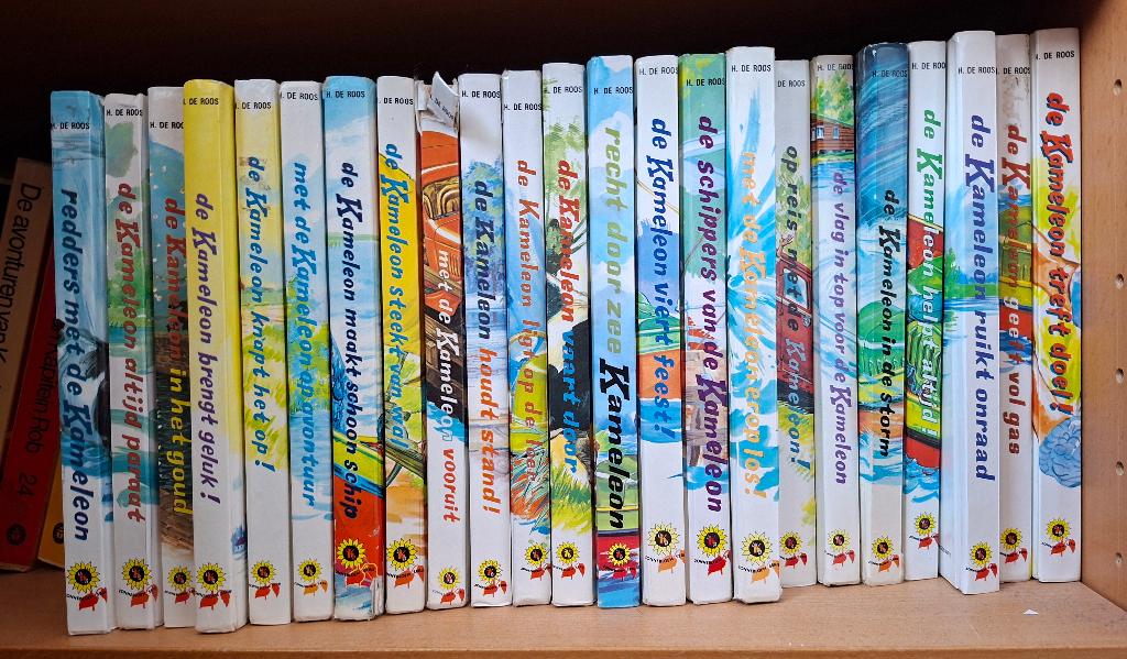 kameleonboekjes, Boeken, Fictie algemeen, H. de Roos, Ophalen, Gelezen