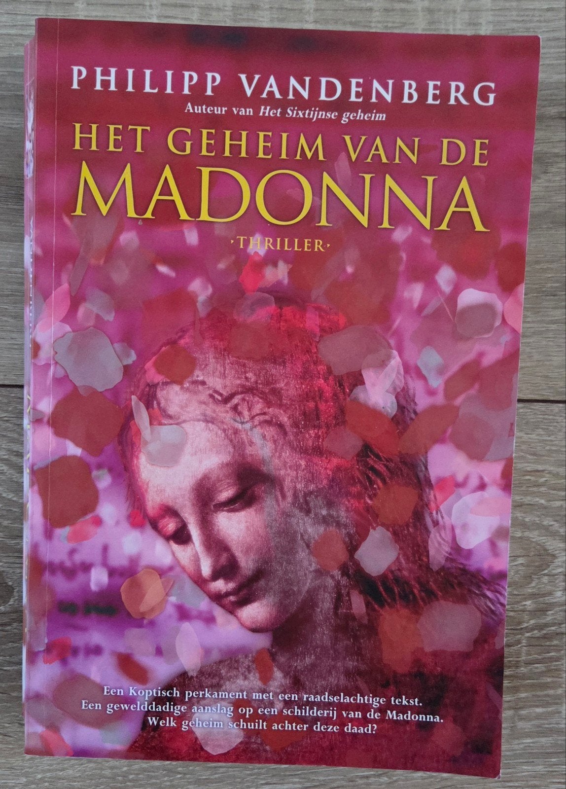 Philipp Vandenberg - Het geheim van de Madonna, Ophalen of Verzenden, Zo goed als nieuw, P. Vandenberg