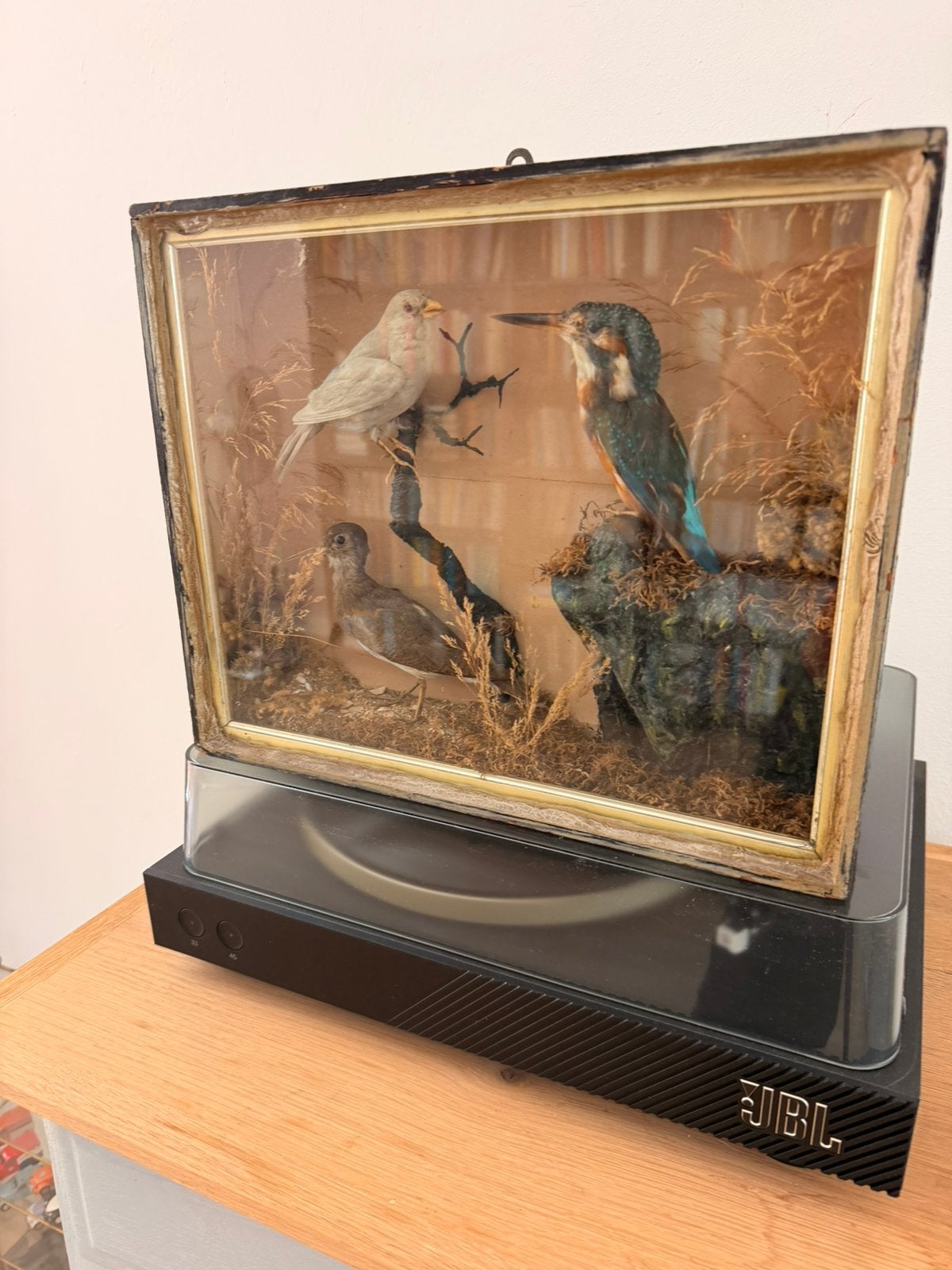 Drie mooje vogels, Ophalen of Verzenden