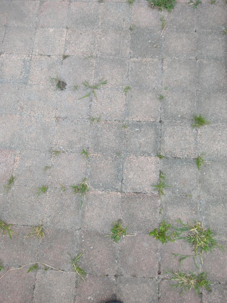 Gratis stenen, Tuin en Terras, Tegels en Klinkers, Ophalen, Gebruikt, 5 tot 10 m², Beton