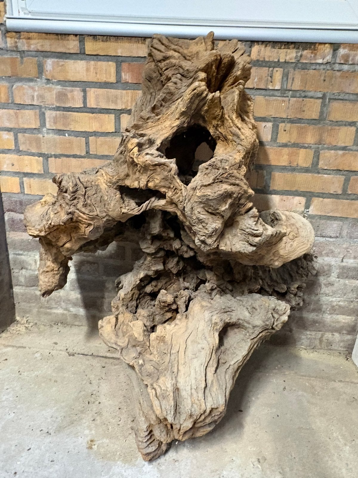Unieke decoratieve boomstronk – echte eyecatcher, Ophalen, Hout, Gebruikt, Overige stijlen