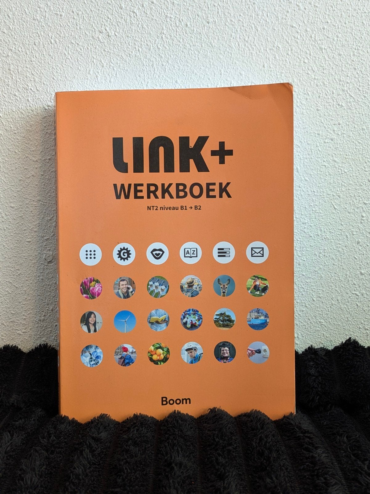 Link+ Werkboek NT2 niveau B1 -> B2 - Nederlands leren, Boeken, Taal | Overige Talen, Ophalen of Verzenden, Zo goed als nieuw, Nederlands