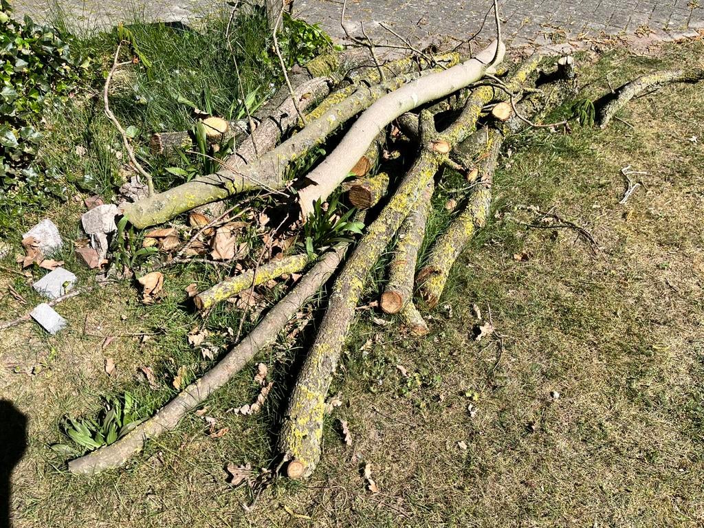 Stammen brandhout, Minder dan 3 m³, Ophalen, Overige houtsoorten, Stammen