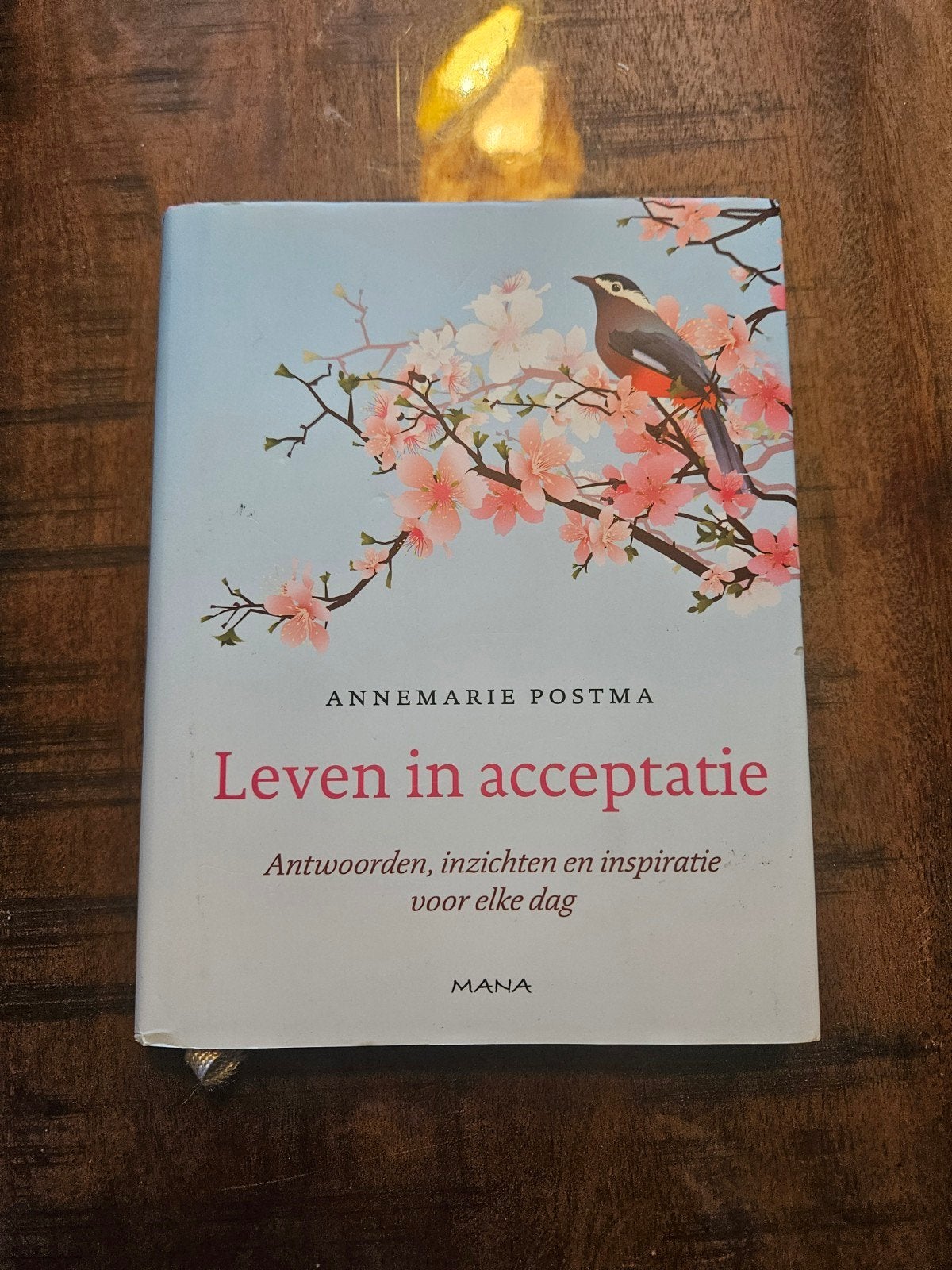 leven in acceptatie.  boek Annemarie Postma, Ophalen of Verzenden, Nieuw, Spiritualiteit algemeen, Overige typen