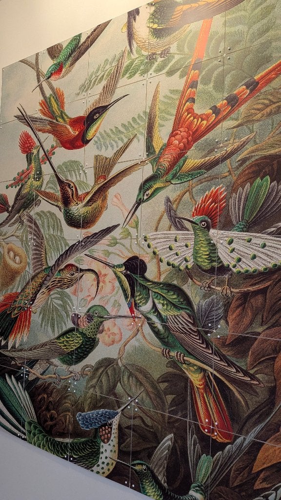 IXXI 'hummingbirds', Meerkleurig, Ophalen of Verzenden, Zo goed als nieuw, Botanisch