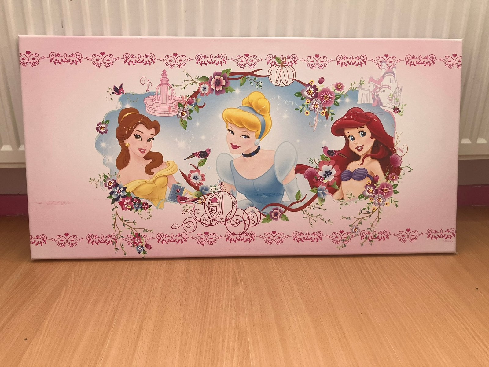 Disney Prinsessen Canvas Schilderij, Ophalen of Verzenden, Zo goed als nieuw, Ophangbaar, Wanddecoratie