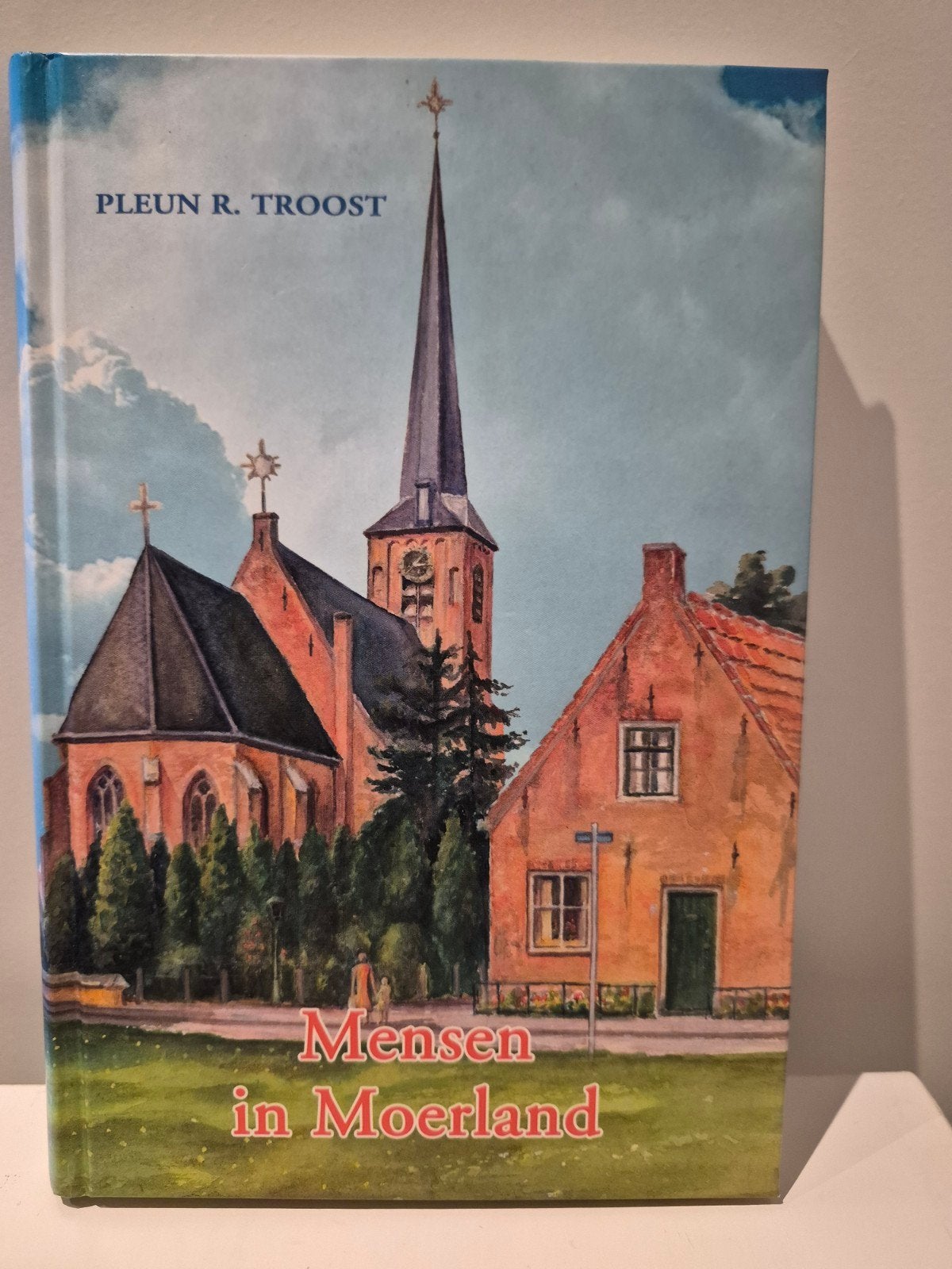 P.R. Troost - Mensen in Moerland, Ophalen of Verzenden, Gelezen, P.R. Troost