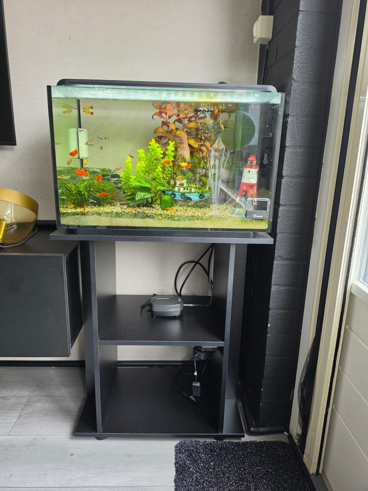 Superfish Home Proled 85 Aquarium, Ophalen, Inclusief vissen, Superfish, Gevuld zoetwateraquarium