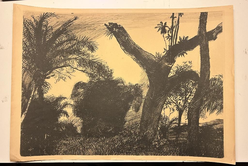 Afrikaans landschap (ca. 1965) - Aat Veldhoen, Antiek en Kunst, Ophalen of Verzenden