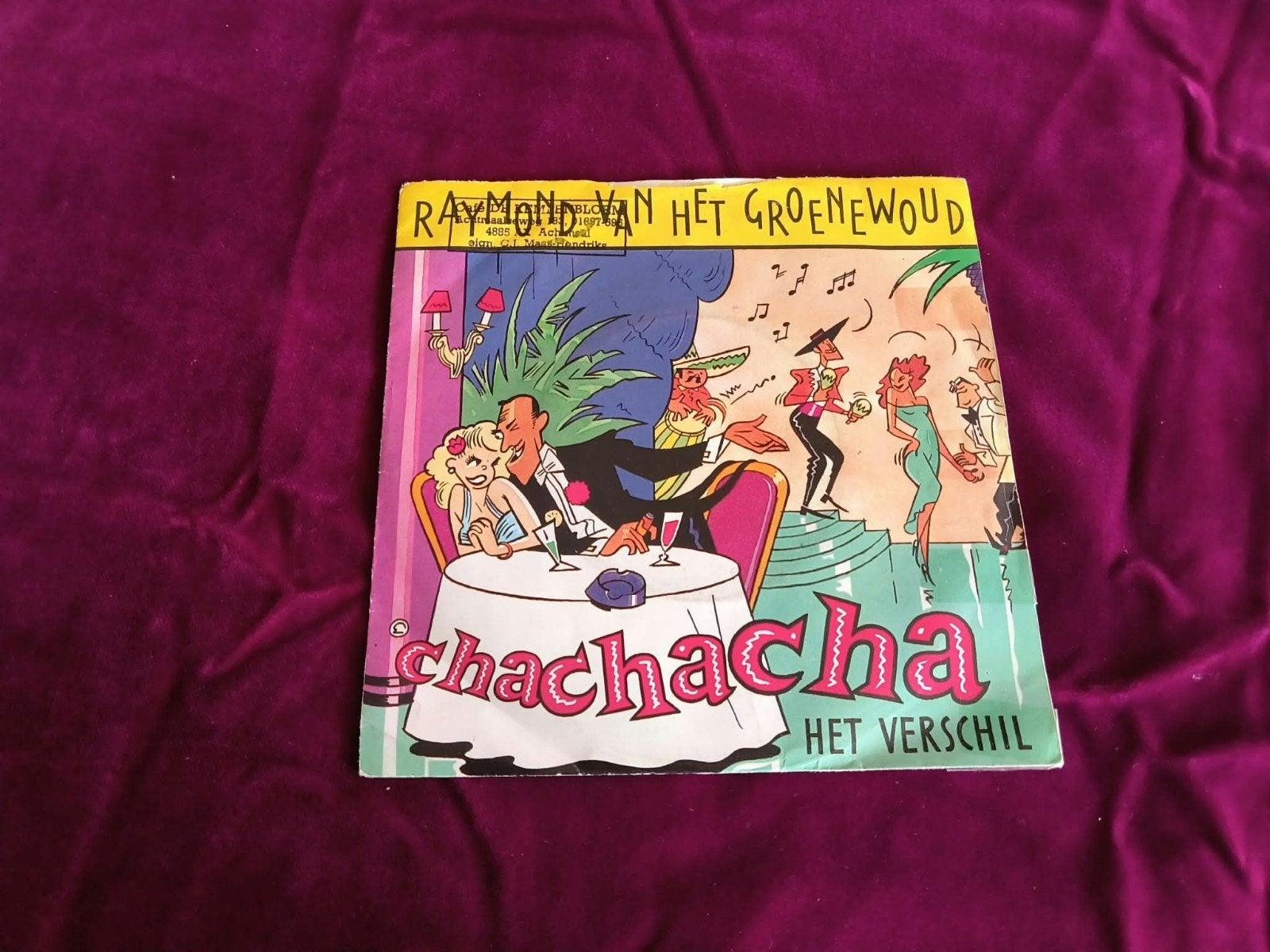 Raymond van het Groenewoud - Cha Cha Cha / Het Verschil, Cd's en Dvd's, Ophalen of Verzenden, Gebruikt, Nederlandstalig