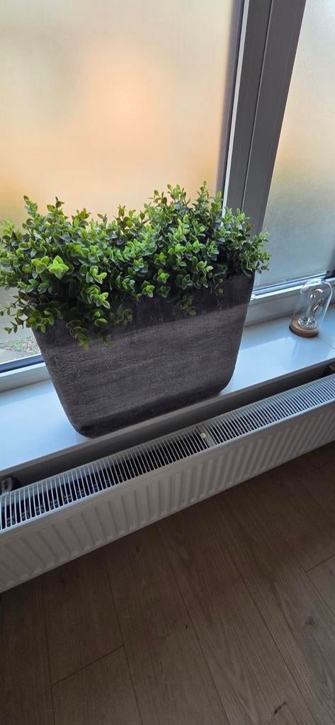 2 Intratuin Fiberclay plantenbakken cementlook, Tuin en Terras, Bloembakken en Plantenbakken, Ophalen, Overige materialen, Gebruikt