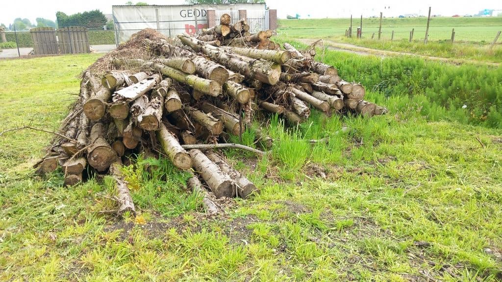 Boomstammen van sparren, 3 tot 6 m³, Ophalen of Verzenden