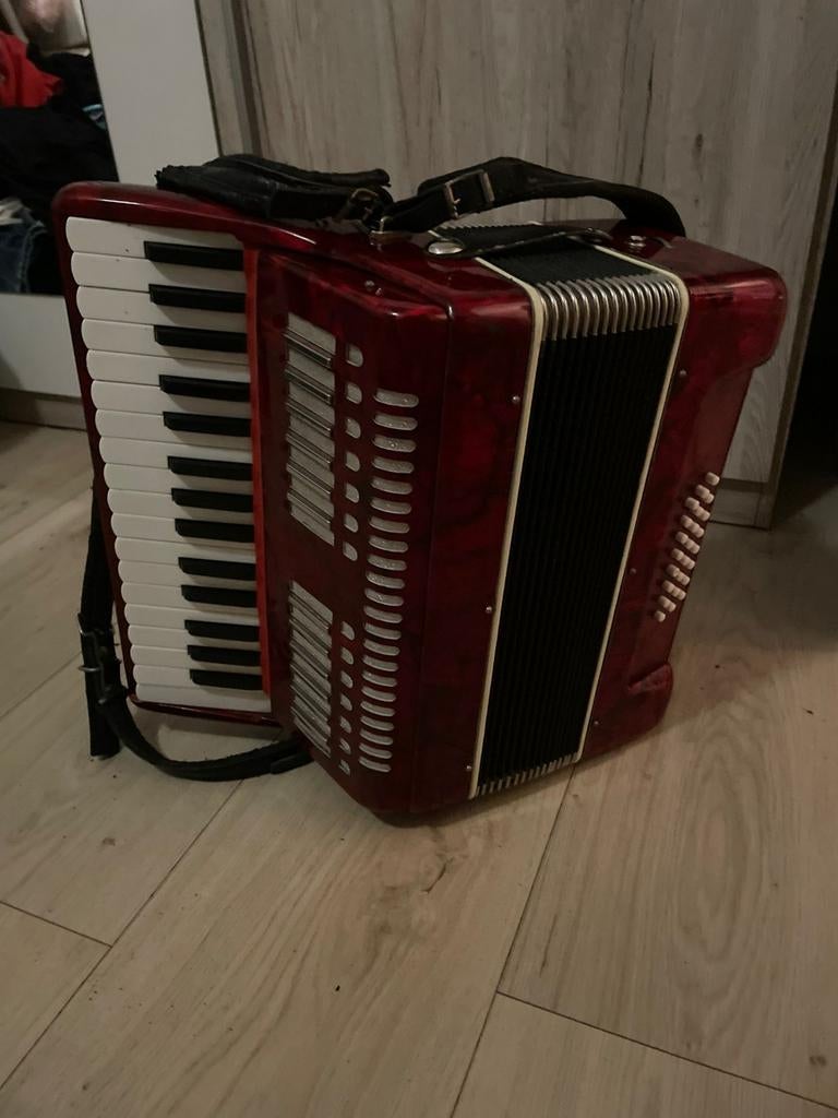 Beginners accodeon met koffer - Ideaal om te proberen!, Muziek en Instrumenten, Accordeons, Ophalen, Gebruikt, Overige merken