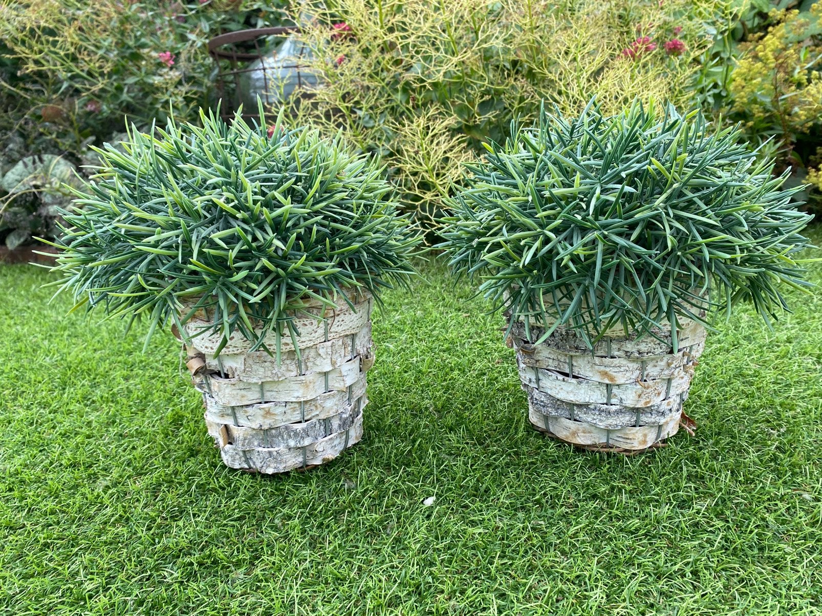 Nep plantjes, Ophalen of Verzenden, Zo goed als nieuw
