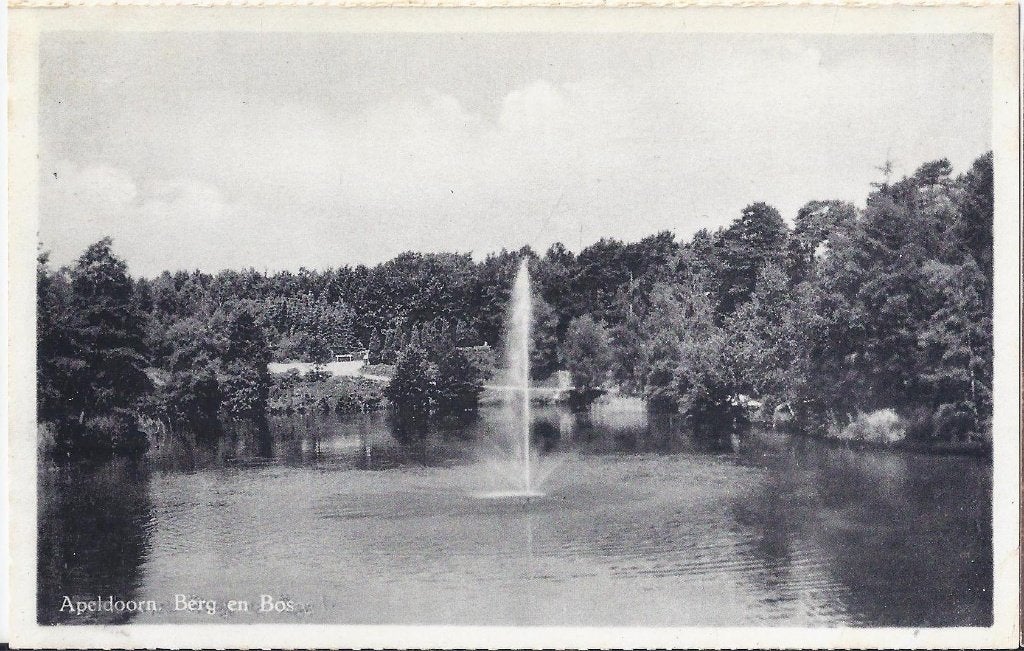Apeldoorn berg en bos - oude ongelopen ansichtkaart B1078, Ophalen of Verzenden, 1960 tot 1980, Gelopen, Gelderland