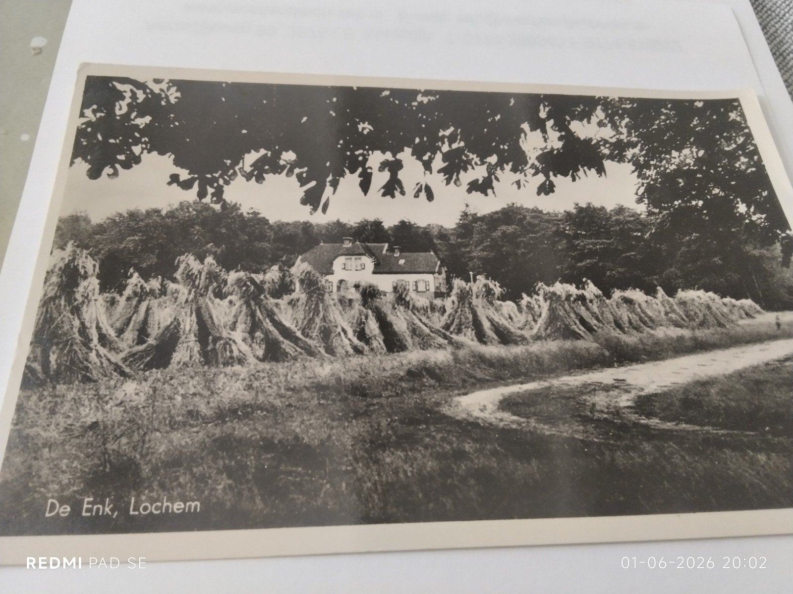 Oude Ansichtkaart Lochem - De Enk - Zwart-wit, Ophalen of Verzenden, Voor 1920, Ongelopen, Gelderland