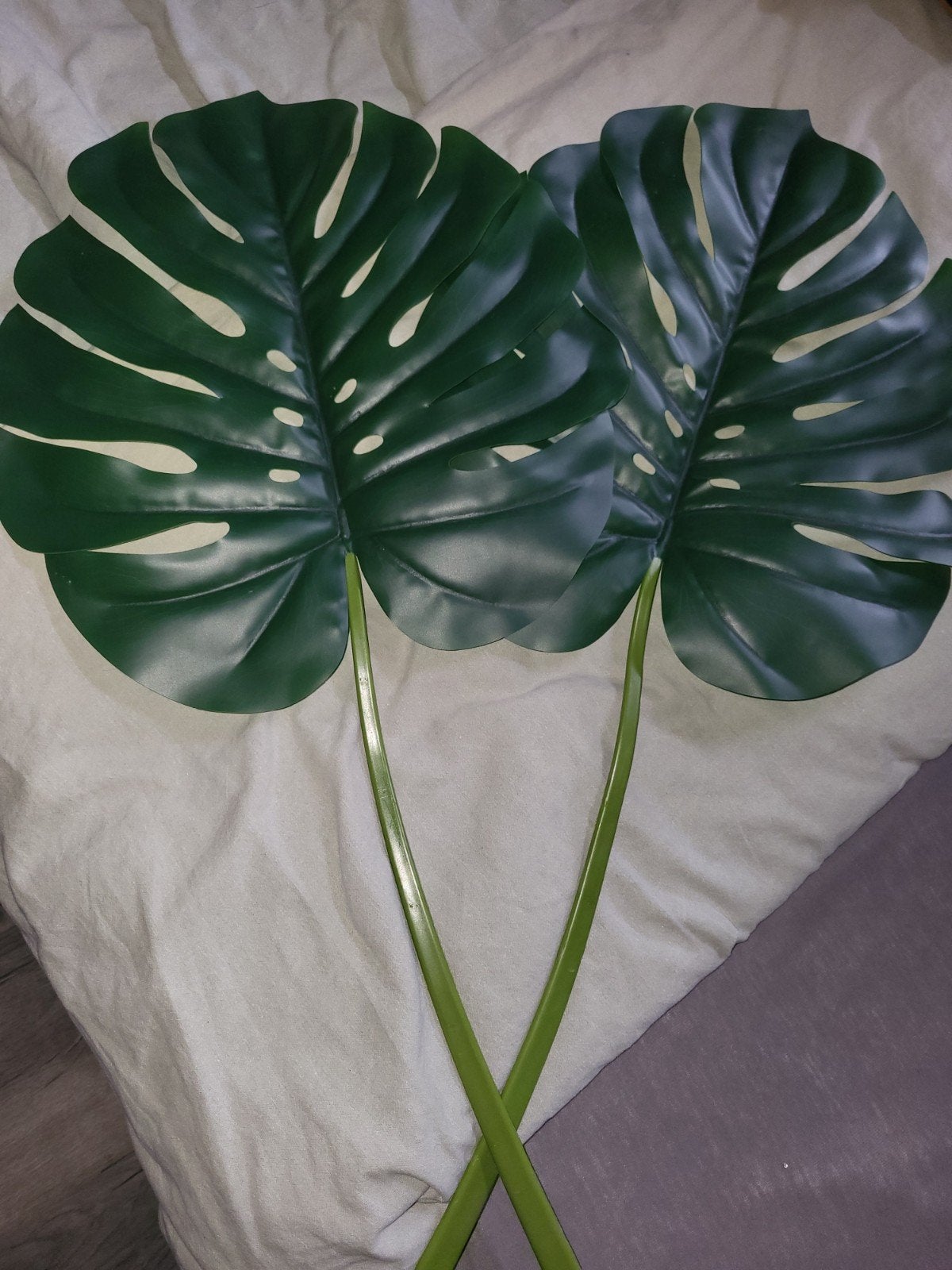 2 grote kunstbladeren, Ophalen, Halfschaduw, Minder dan 100 cm