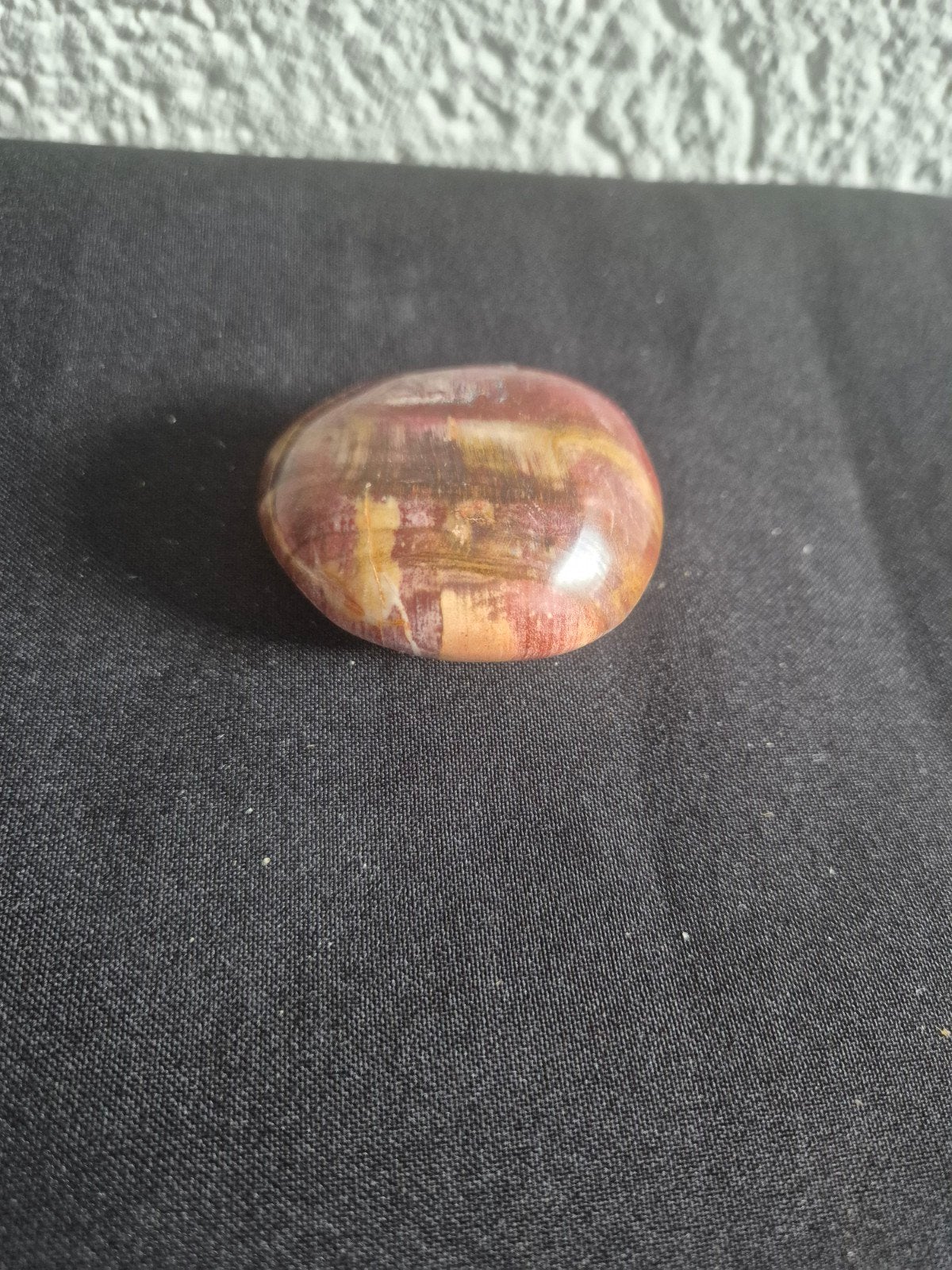 Versteend Hout - 77 gram, Ophalen, Nieuw