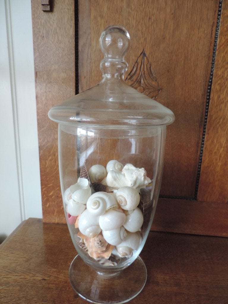glazen pot met schelpen, Ophalen