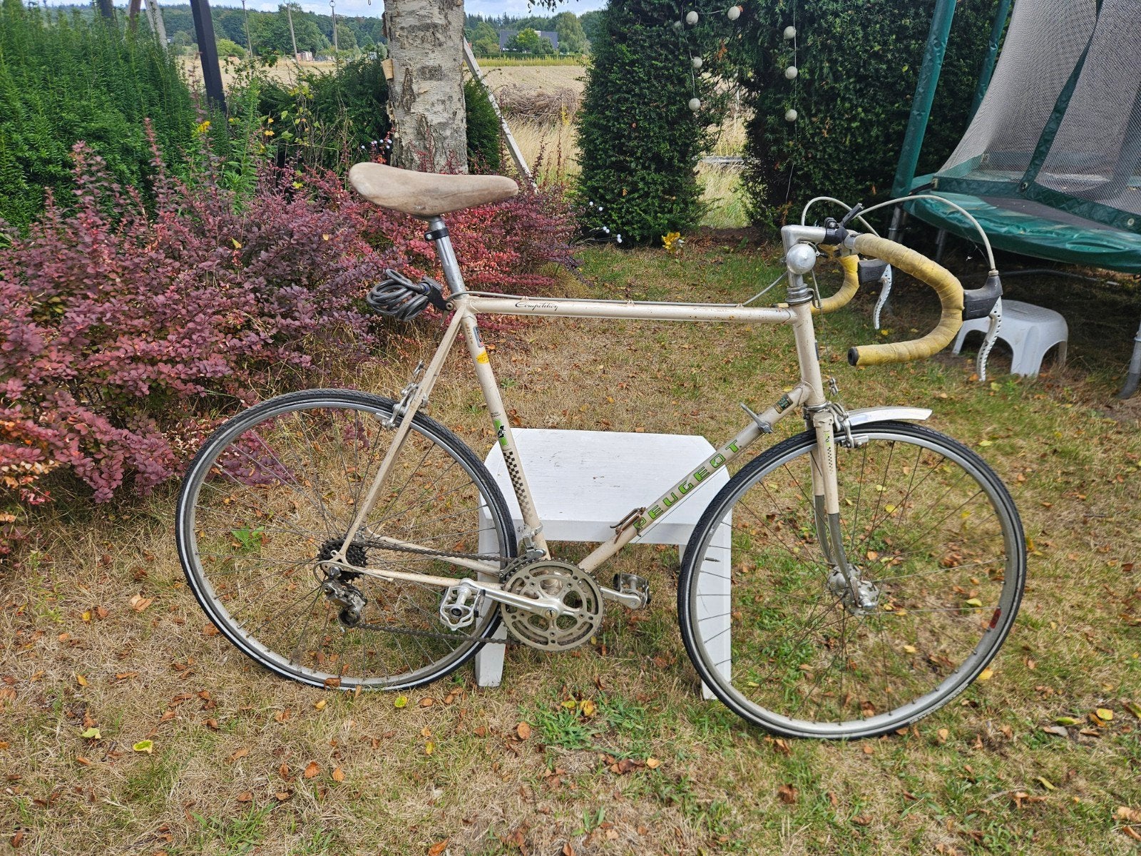 Vintage Peugeot Record Du Monde Racefiets 1980, Gebruikt, Velgrem, Ophalen, Overige merken
