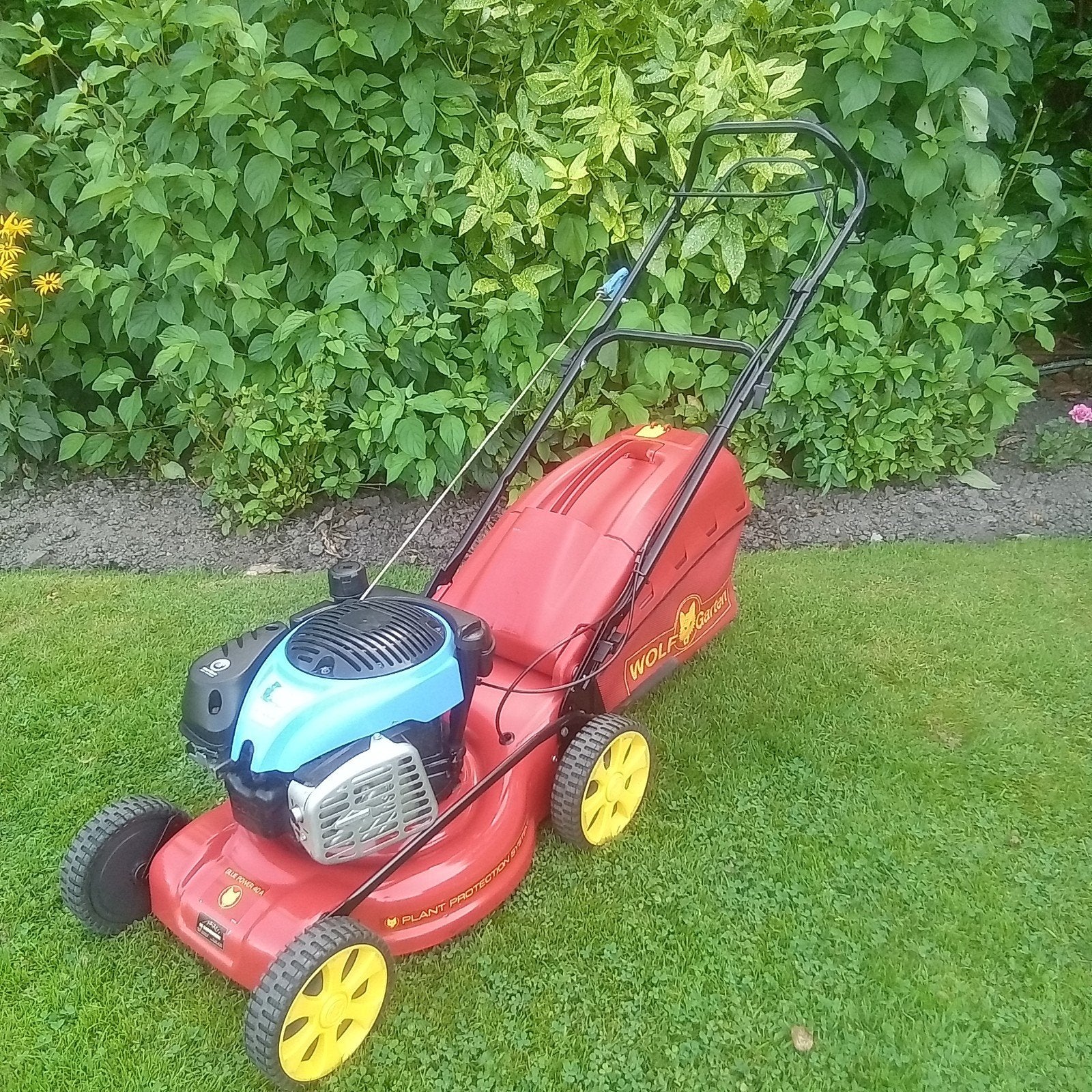 Nette Wolf grasmaaier zelfrijdend benzine maaier, Tuin en Terras, Grasmaaiers, Ophalen, Cirkelmaaier, Gebruikt, Opvangbak