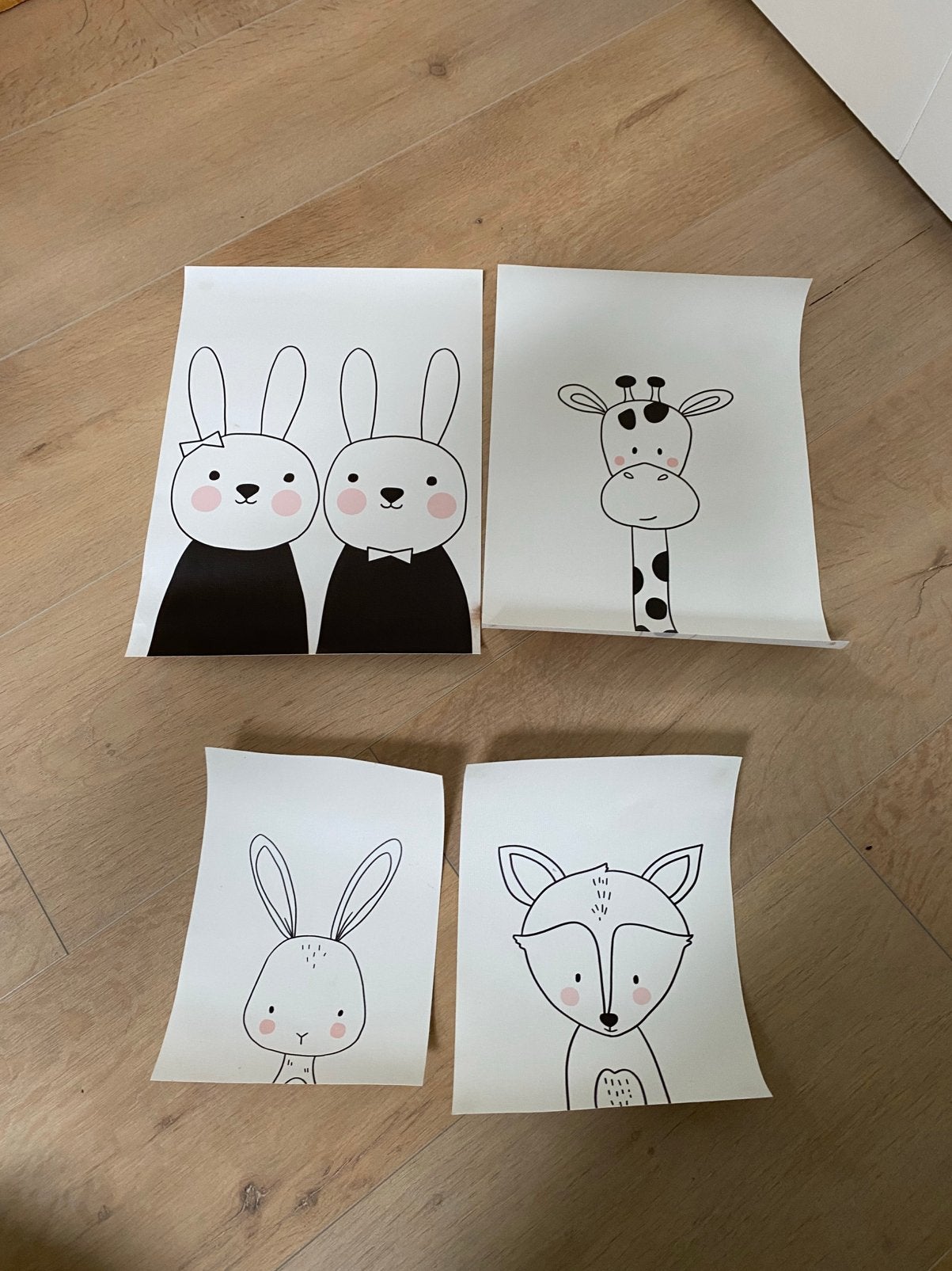 Canvas posters, Wit, Ophalen of Verzenden, Zo goed als nieuw, Wanddecoratie