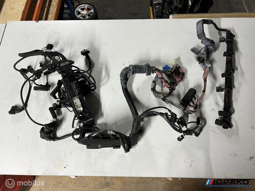 Kabelboom motor BMW E6x 535D M57D5, Gebruikt, Einsteinlaan 5 rijswijk, Bmw, Ophalen of Verzenden