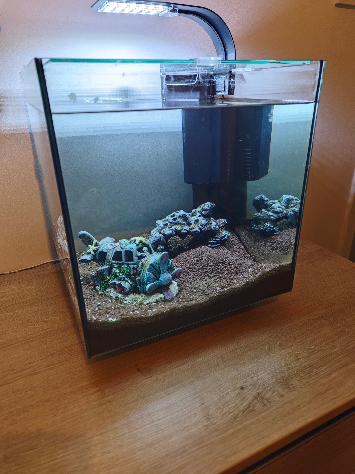 Complete aquarium, Ophalen, Zo goed als nieuw, Gevuld zoetwateraquarium