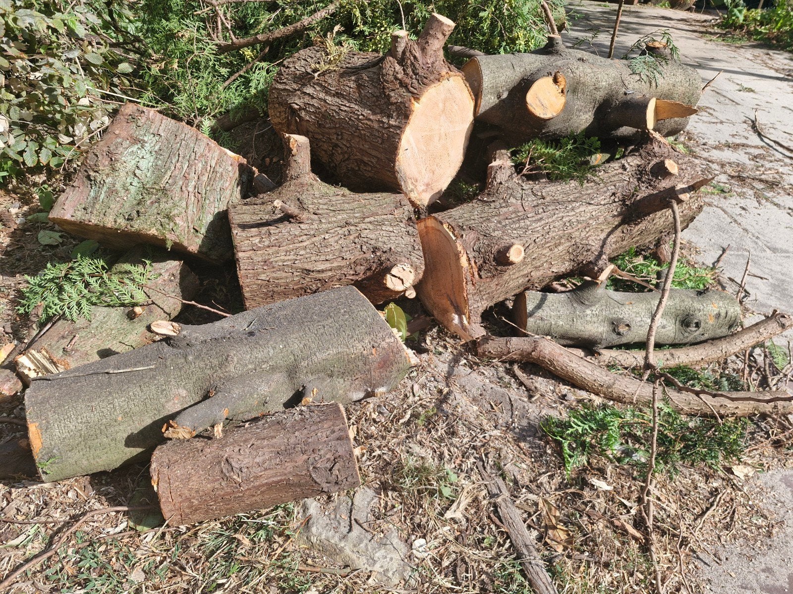 Gratis hout op de oprit, Tuin en Terras, Haardhout, Minder dan 3 m³, Ophalen