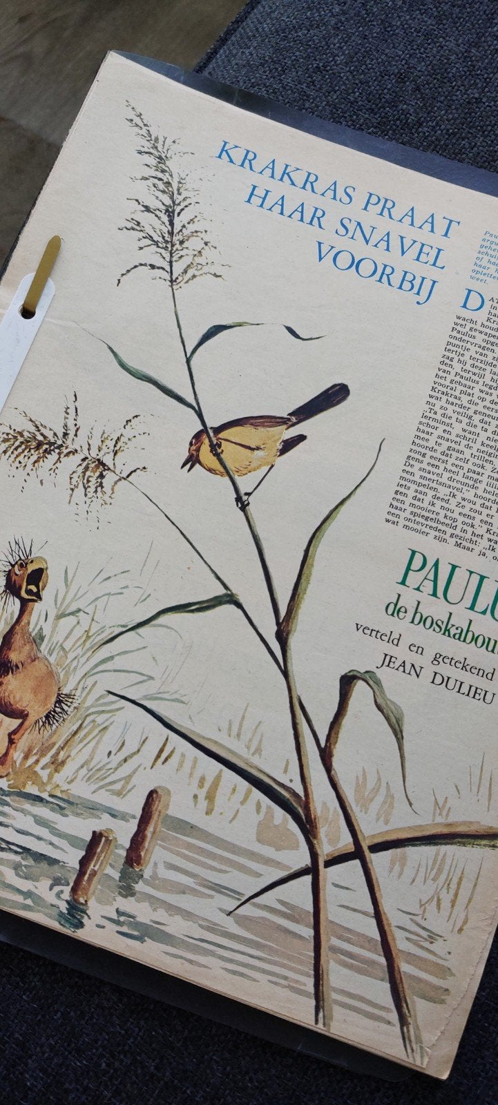 Paulus de Boskabouter Verhalen uit Tijdschriften 1965-66, Boeken, Ophalen of Verzenden, Gelezen, Overige typen