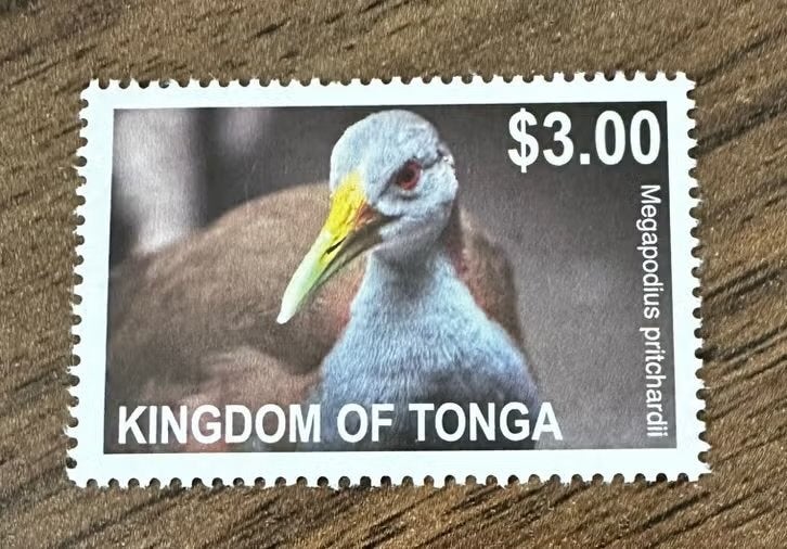 Tonga 2012 - Megapodius pritchardii Vogels - Postfris, Ophalen of Verzenden, Postfris