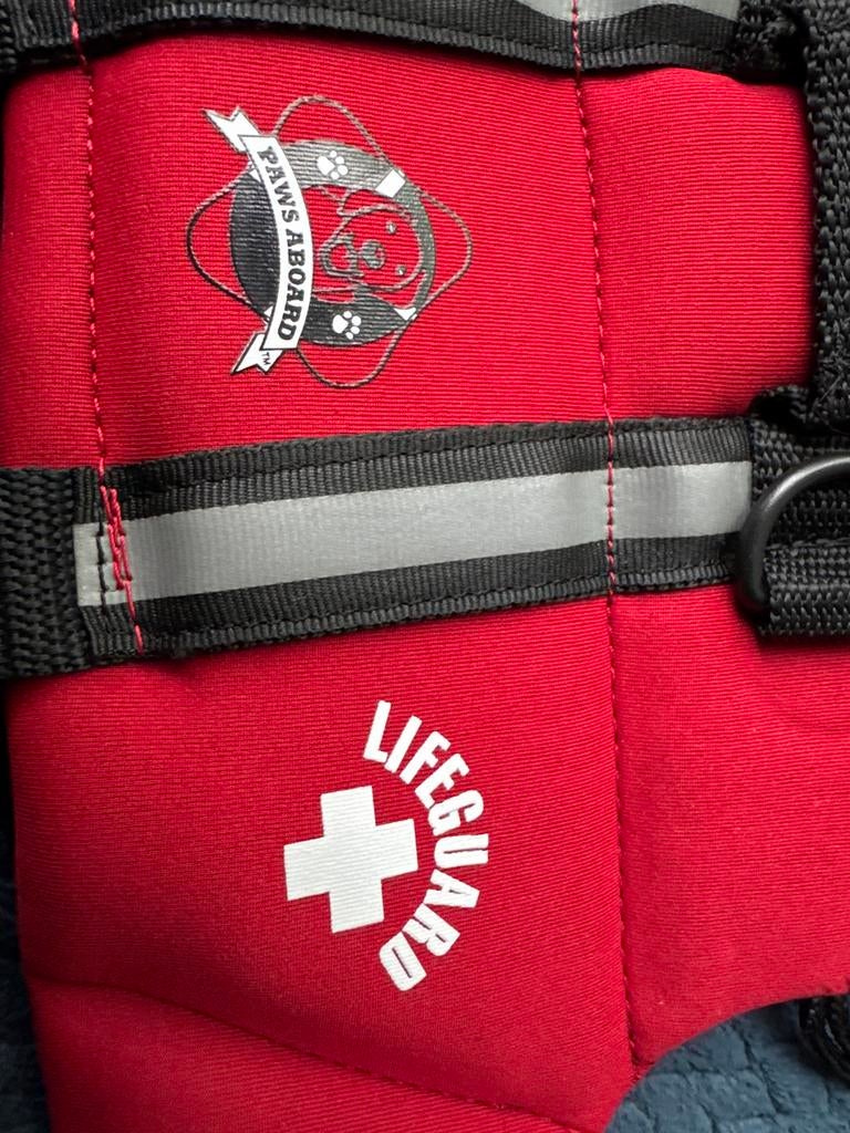 Life guard zwemvest kleine hond, Ophalen of Verzenden, Nieuw