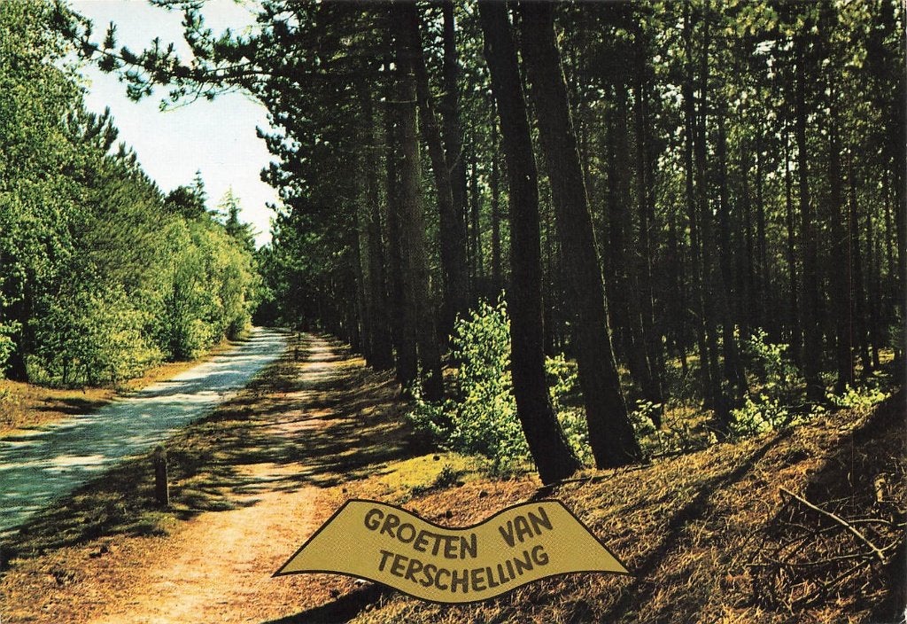 Groeten van Terschelling, Ophalen of Verzenden, 1980 tot heden, Gelopen, Waddeneilanden
