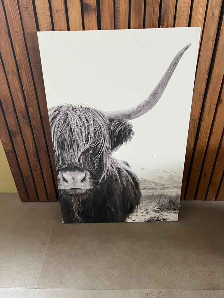 Groot canvas 90x60, Huis en Inrichting, Ophalen, Gebruikt, Wandbord of Wandpaneel, 60 cm