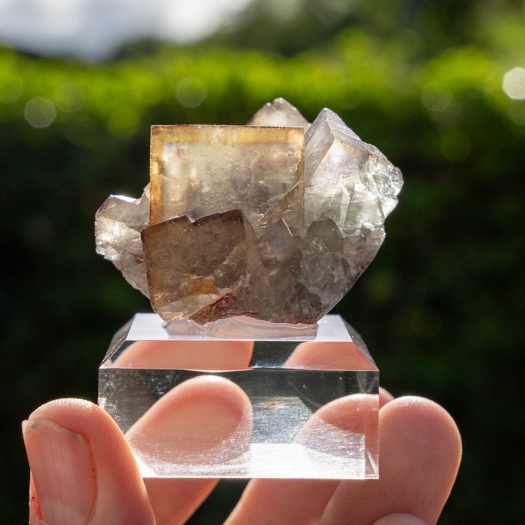 Fluoriet uit Hameda, Marokko #1, Ophalen of Verzenden, Mineraal