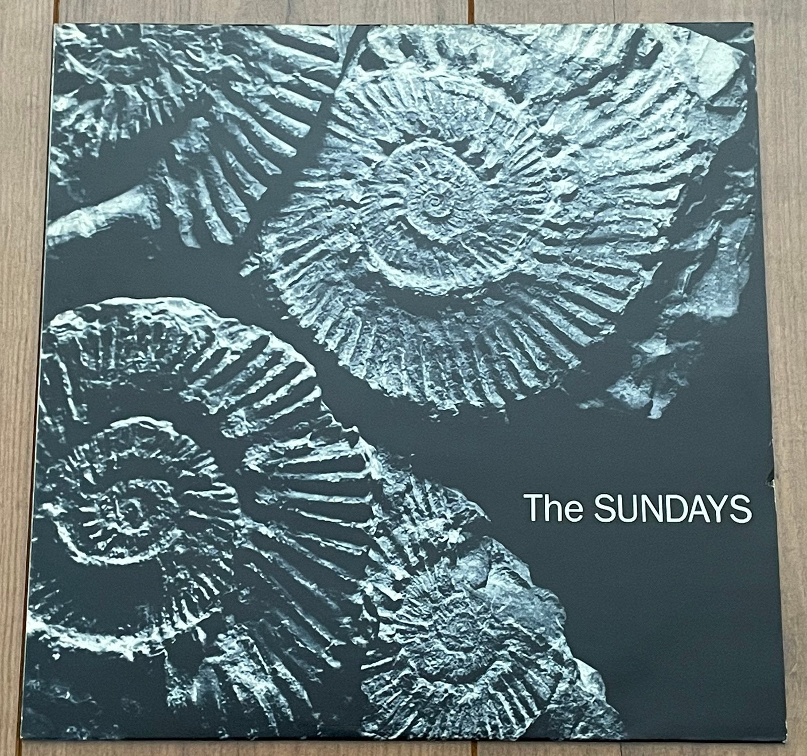 Sundays - Reading, Writing And Arithmetic lp / White Label!, Cd's en Dvd's, Vinyl | Rock, LP, Ophalen of Verzenden, Zo goed als nieuw