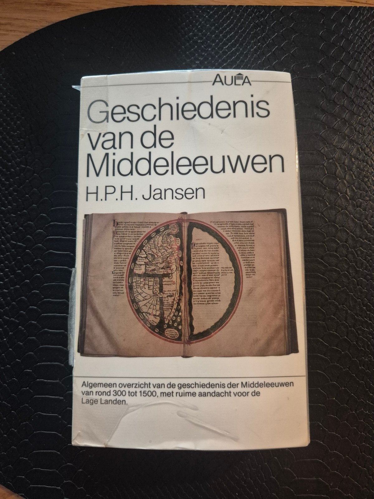 Geschiedenis van de middeleeuwen, Gelezen, 14e eeuw of eerder, H.p.h jansen, Europa