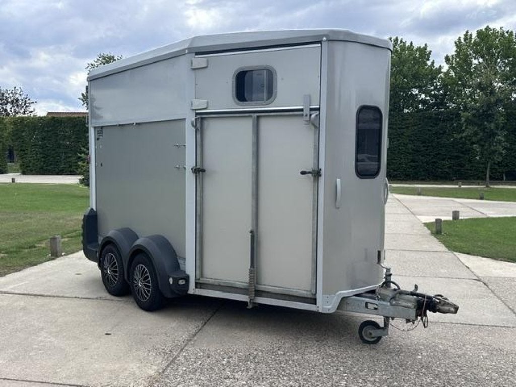 IFOR Williams Trailer HB 511 met vooruitloop paardentrailer, Gebruikt, 2-paards trailer