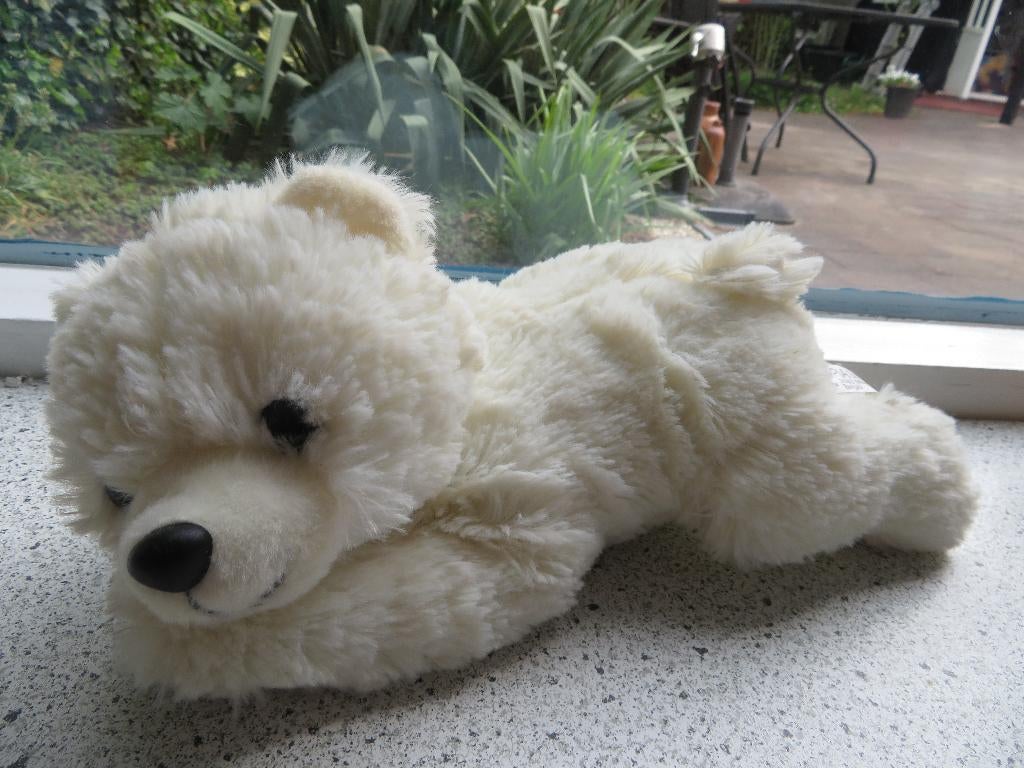 Liggende beer ijsbeer merk PIA International Soft Toys, Beer, Ophalen of Verzenden, Zo goed als nieuw, Wasbaar