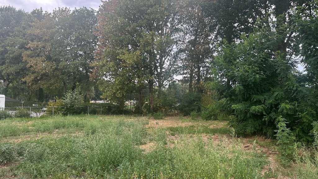 Weide met schuilstal te huur, Weidegang
