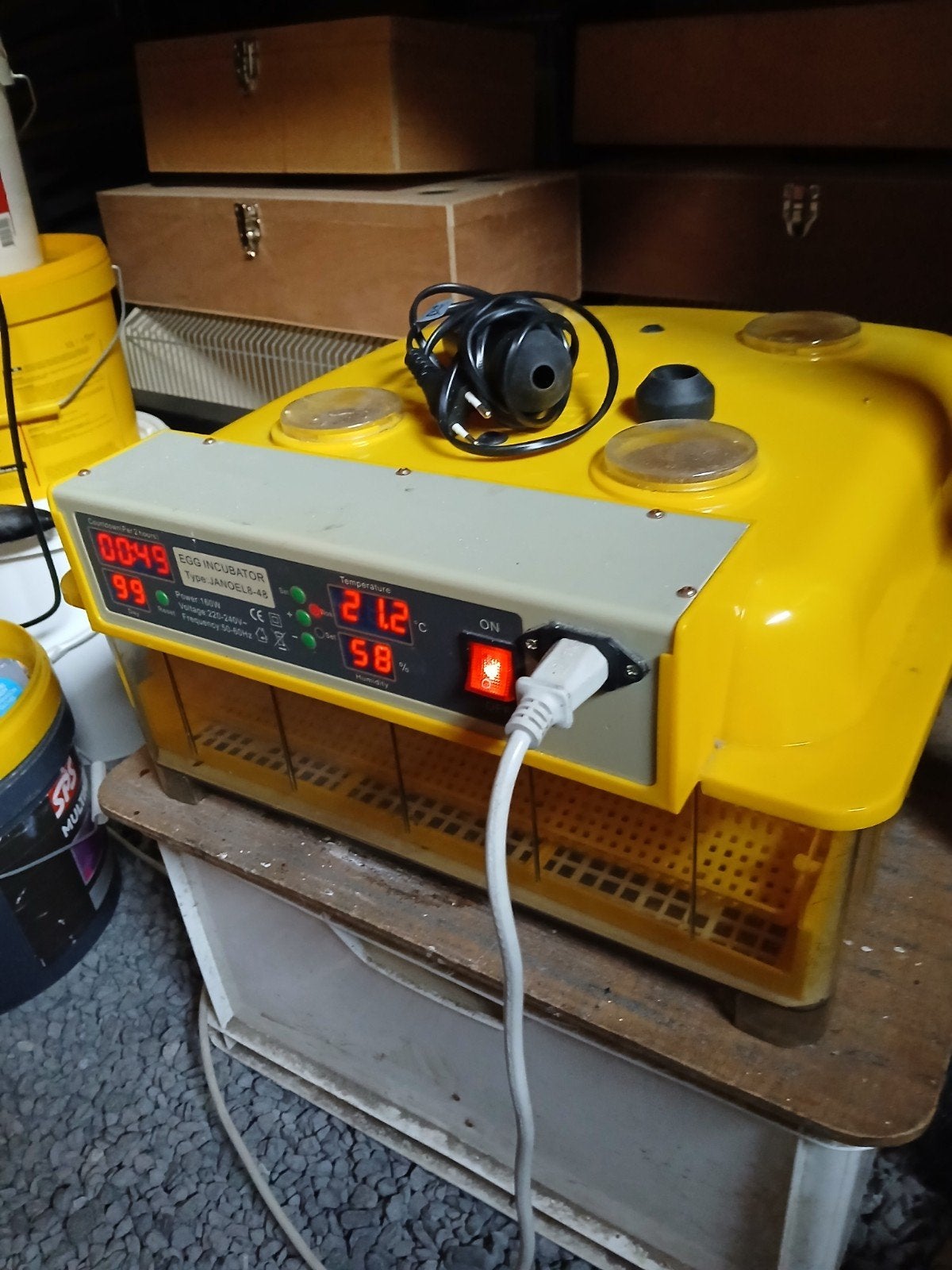 volautomatisch broedmachine, Dieren en Toebehoren, Ophalen, Broedmachine