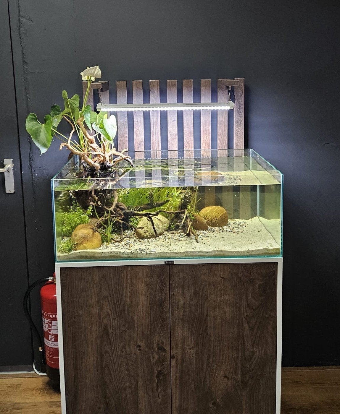 Showaquarium Aqualantis Shallow 80, Dieren en Toebehoren, Vissen | Aquaria en Toebehoren, Nieuw, Gevuld zoetwateraquarium, Inclusief controller