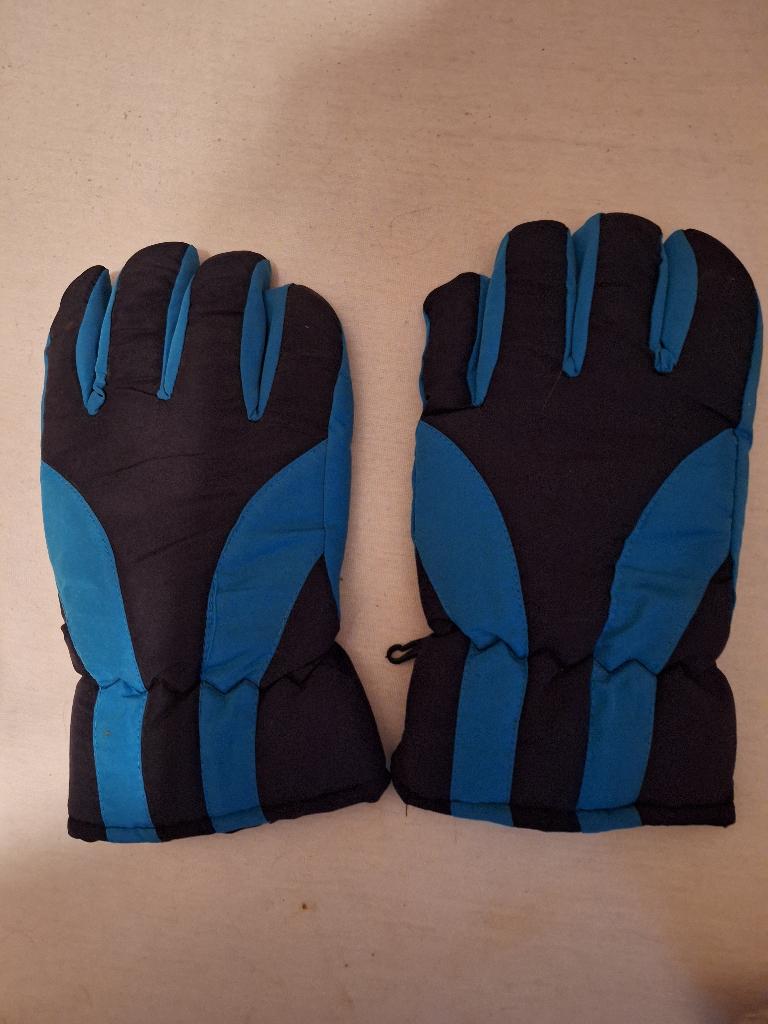 winter handschoenen, Motoren, Ophalen, Tweedehands, Heren, Handschoenen