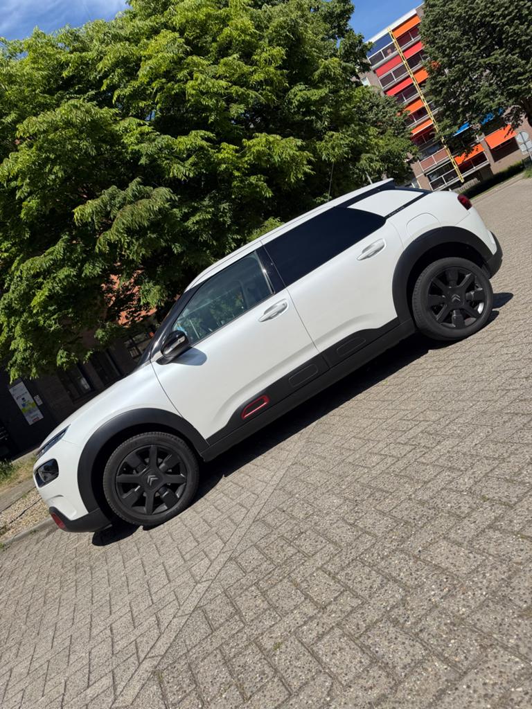 Citroën C4 Cactus Puretech 131Pk Bordeaux rood - Pano, Stof, 1199 cc, Wit, Overige kleuren