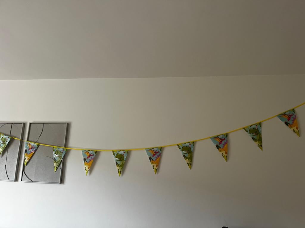 Dino versiering, Ophalen of Verzenden, Zo goed als nieuw, Versiering, Verjaardag